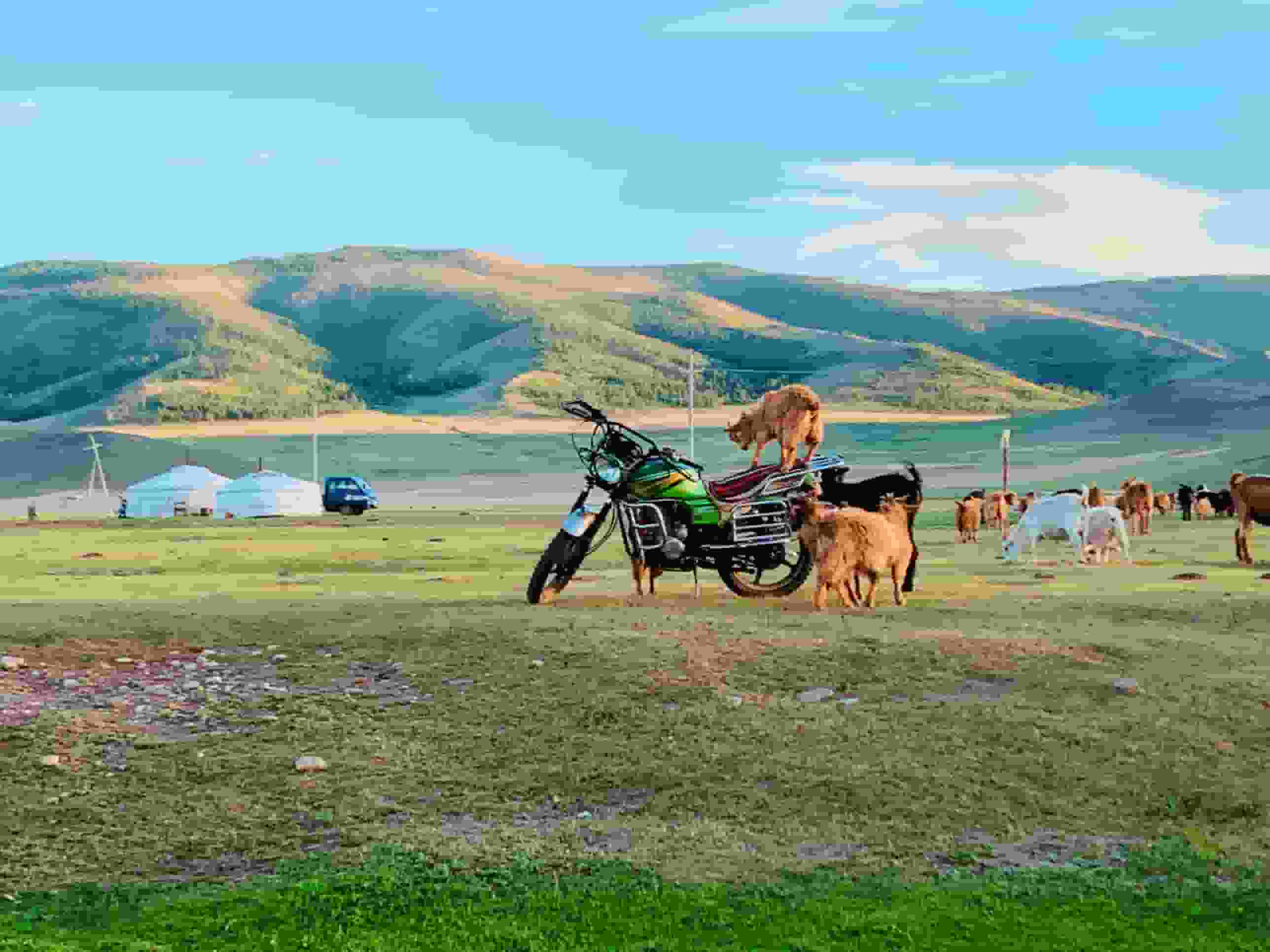 Nomadic Lifestyle Tour In Amarbayasgalant Monastery