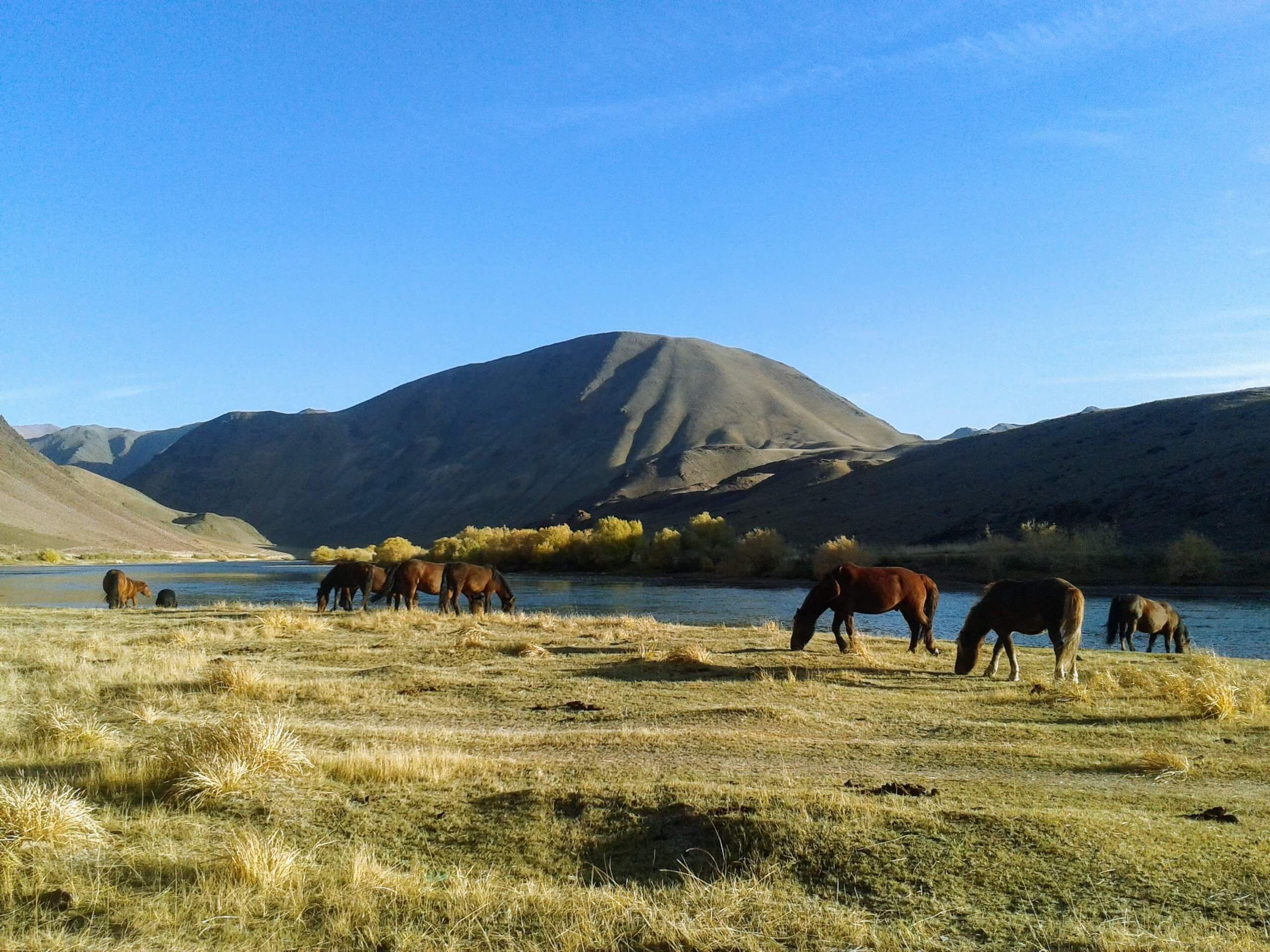 tourImages/el8nfy3.webp6