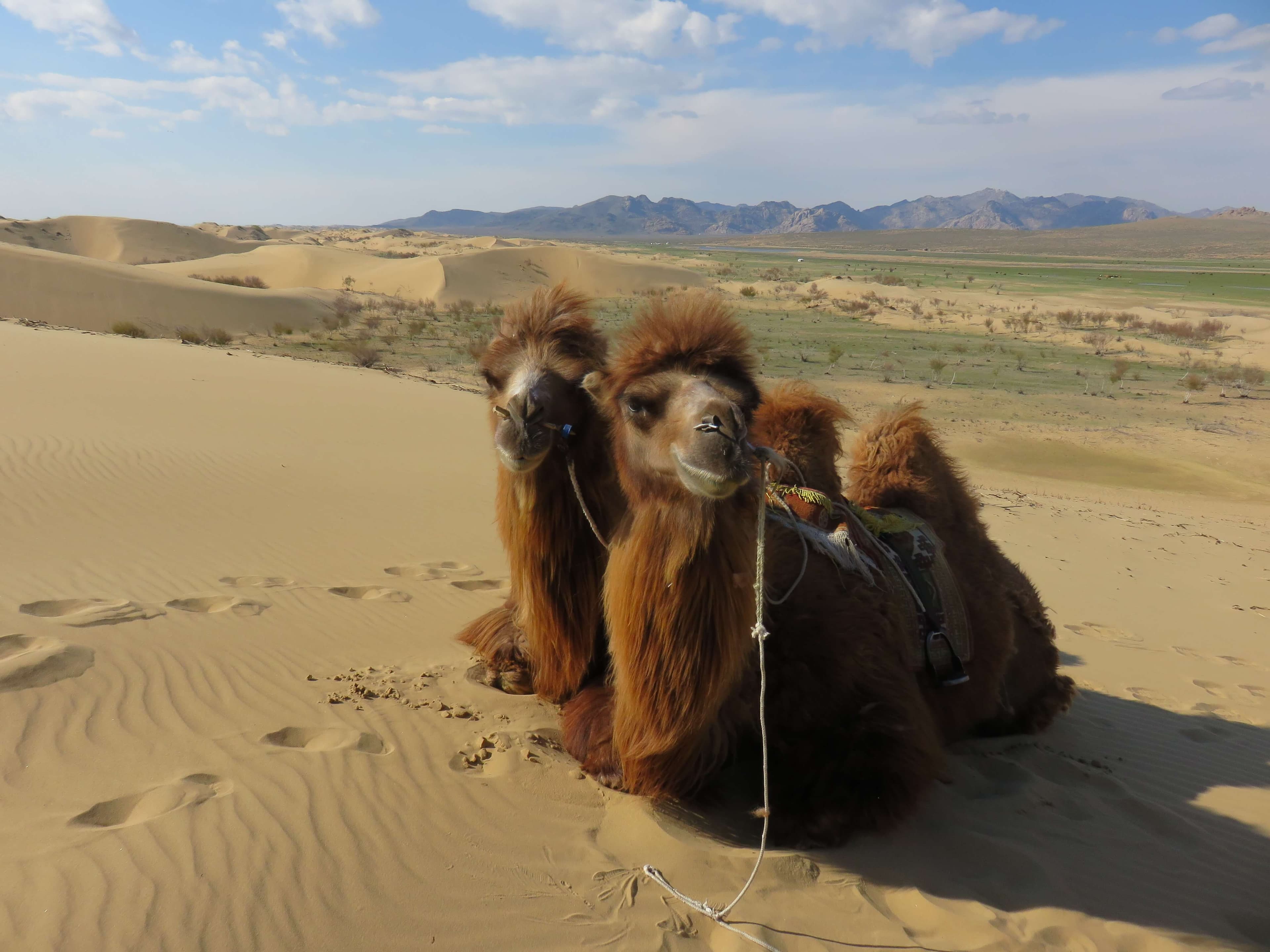 tourImages/rhqqj0x.webp1