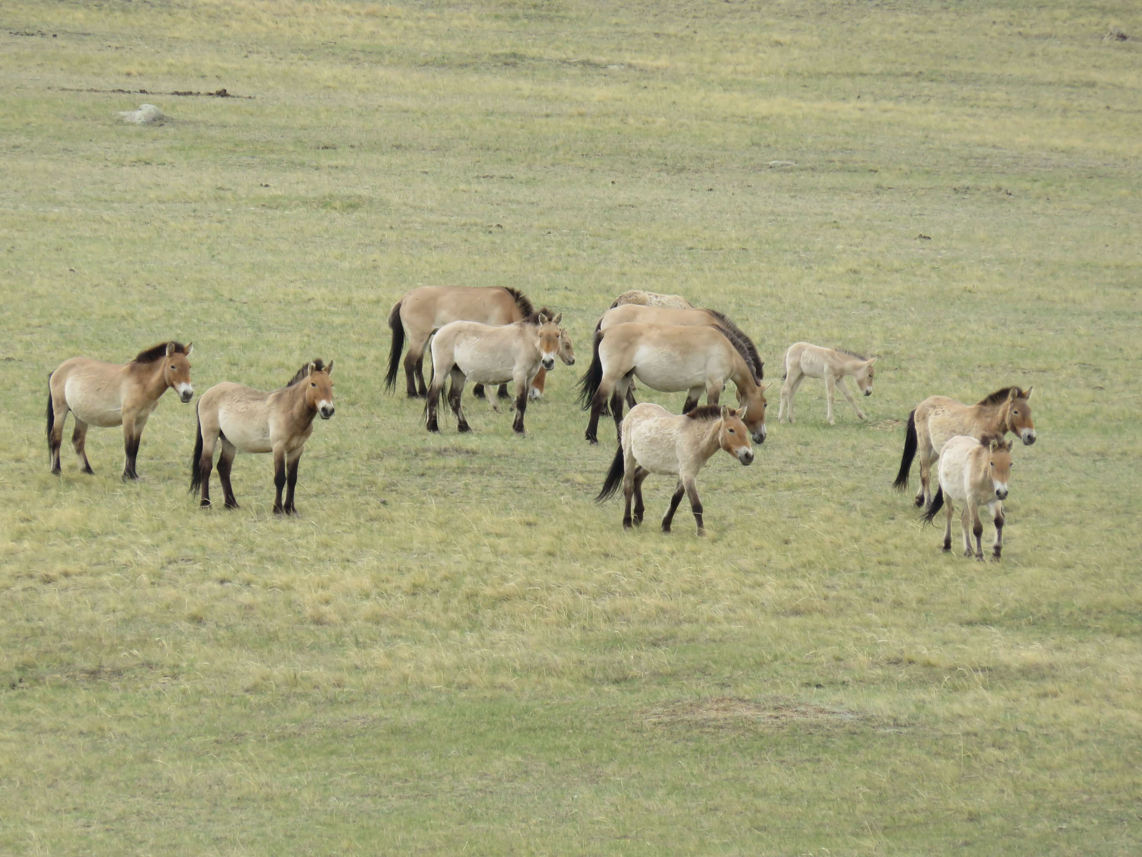 tourImages/b0zgp1w.jpeg2