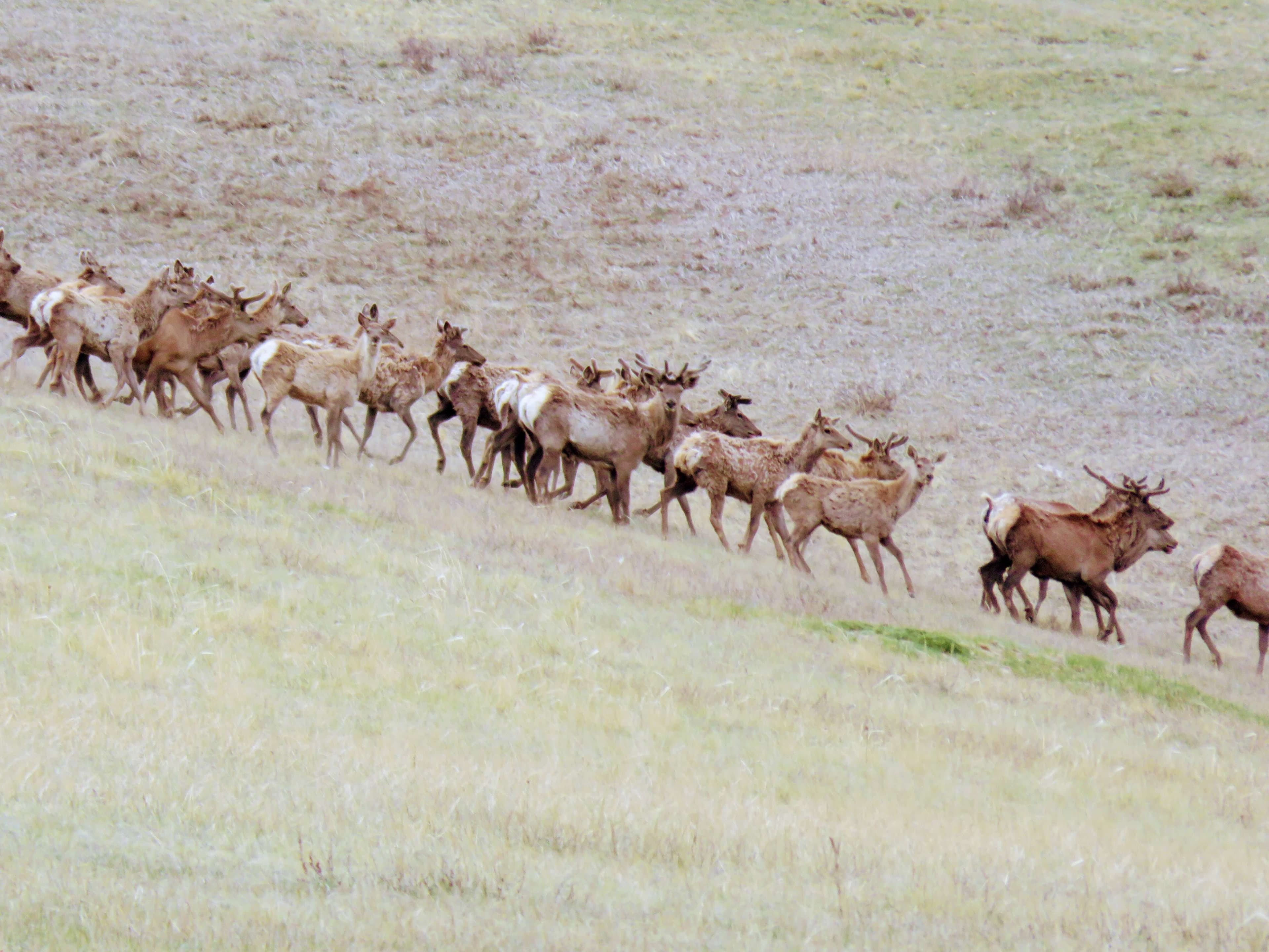 tourImages/osmk9ta.jpeg3