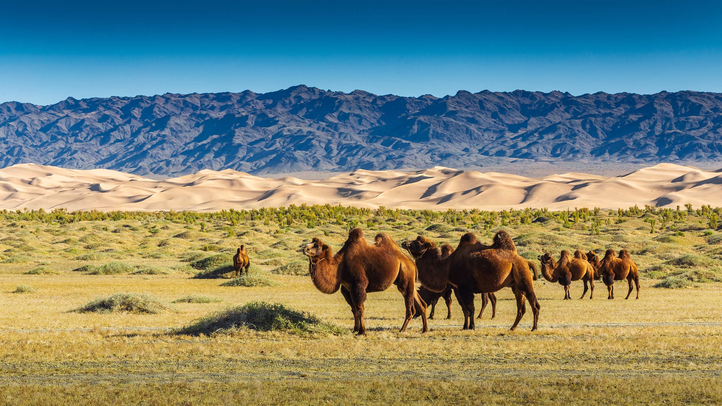 tourImages/xtmyeo7.jpeg1